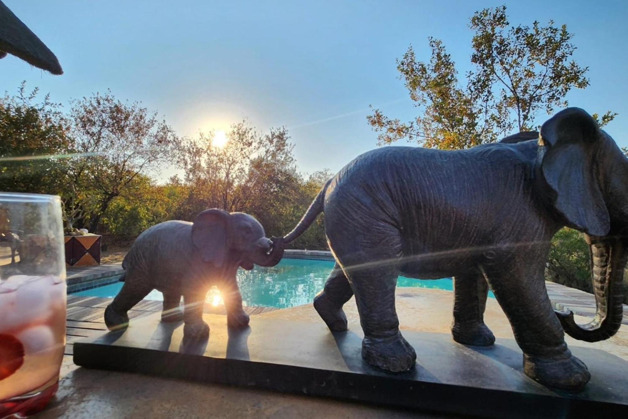 Bushvilla Umoja Kruger Phalaborwa Exterior foto